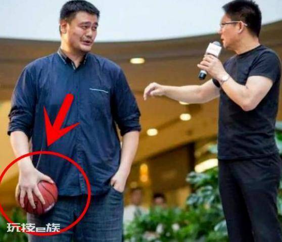 姚明真实身高是多少米(2米26的姚明体型多夸张)-图片5